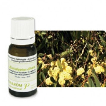 Huile Essentielle Eucalyptus Mentholé (Eucalyptus dives) 10ml