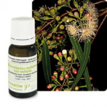 Huile Essentielle Eucalyptus radié (Eucalyptus radiata) 10ml