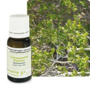 Huile Essentielle Mandravasarotra (Cinnamosma fragrans) 10ml