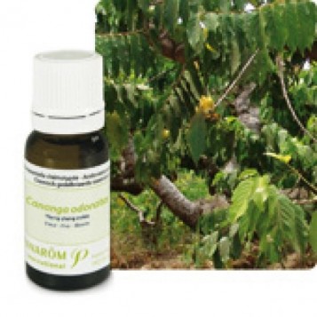 Huile Essentielle Ylang Ylang (Cananga odorata extra) 5ml