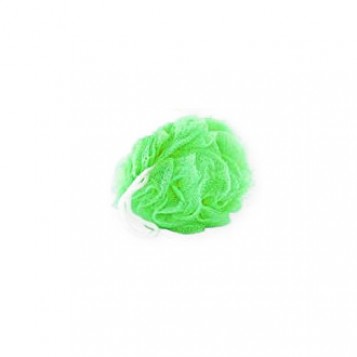 fleur de douche verte fleur de massage 3760169127853