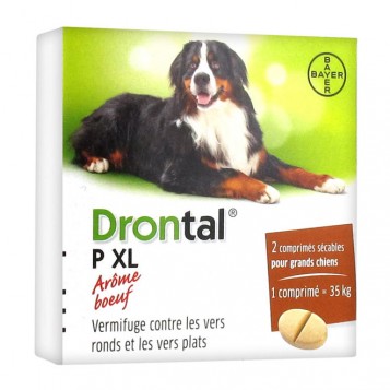 Drontal XL - Comprimé Arôme Boeuf - 2 Comprimés 4007221046349
