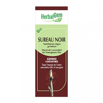 HerbalGem Sureau Noir 30 ml Macérat concentré de bourgeons BIO Bourgeon de l'élimination