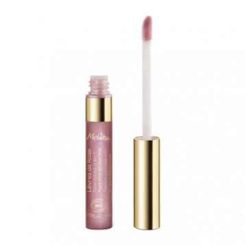 Melvita Lèvres de Rose - Gloss 2 en 1 - 4 ml Soin lèvres BIO Hydrate et illumine vos lèvres A l'extraits de Rose Sauvage