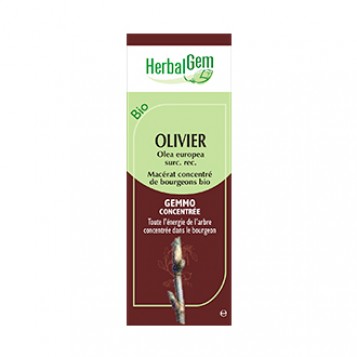 Olivier - Olea Europea Surc. Rec. 30 ml