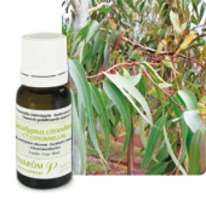 Huile Essentielle Eucalyptus citronné (Eucalyptus citriodora) - 10ml