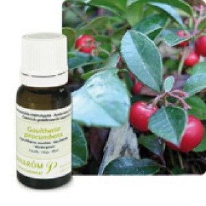Huile Essentielle Gaulthérie couchée (Gaultheria procumbens) 10ml