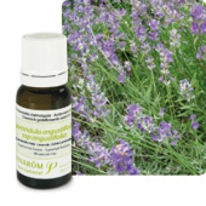 Huile Essentielle Lavande Vraie (Lavandula angustifolia) 10ml