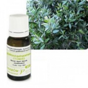 Huile Essentielle Niaouli (Melaleuca quinquenervia) 10ml