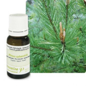 Huile Essentielle Pin Sylvestre (Pinus sylvestris) 10