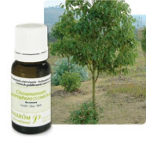 Huile Essentielle Ravintsara (Cinnamomum camphora CT cineol) 10ml