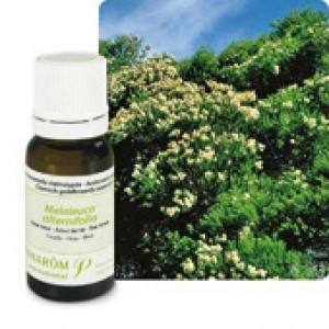 Huile Essentielle Tea tree (Melaleuca alternifolia) 10ml