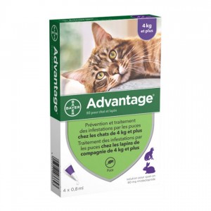 Advantage 80 Solution Antipuce Pour Chat et Lapin de 4kg et plus - 4 Pipettes 4007221036630