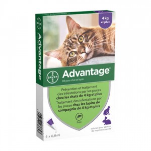 Advantage 80 Solution Antipuce Pour Chat et Lapin de 4kg et plus - 6 Pipettes 4007221036647