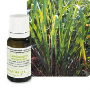 Huile Essentielle Citronnelle de Java (Cymbopogon winterianus) BIO 10ml