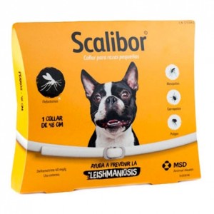 Scalibor Collier Antiparasitaire Chien Petit à Moyen (48 cm) - 1 Collier