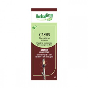 HerbalGem Cassis - Ribes Nugrum Gemmae BIO 30 ml Votre élixir de vie !