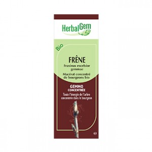 HerbalGem Frêne - Fraxinus Excelsior Gemmae BIO 30 ml Macérat mère de frêne BIO drainante Le bourgeon de l'acide urique