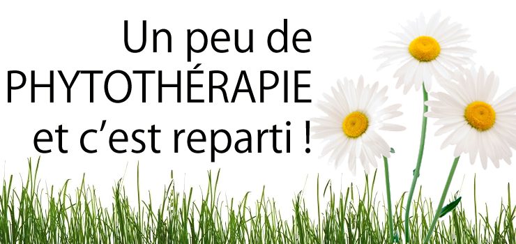 un peu de phytothérapie et c'est reparti BLOG Hyperpara