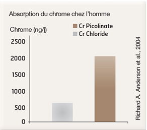 chrome-intro11fr